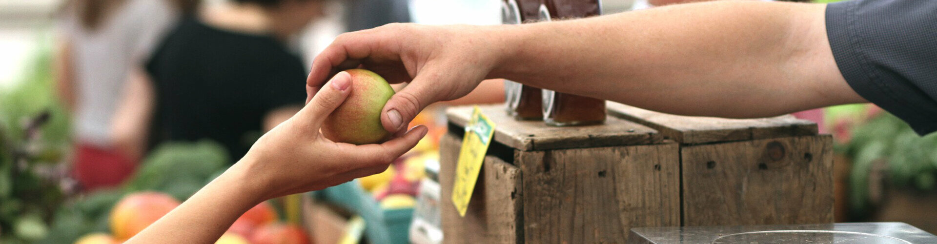 Entreprises, commerçants et artisans dans le Cher