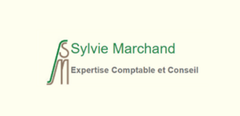 Expertise comptable et conseil