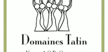 Domaines TATIN 